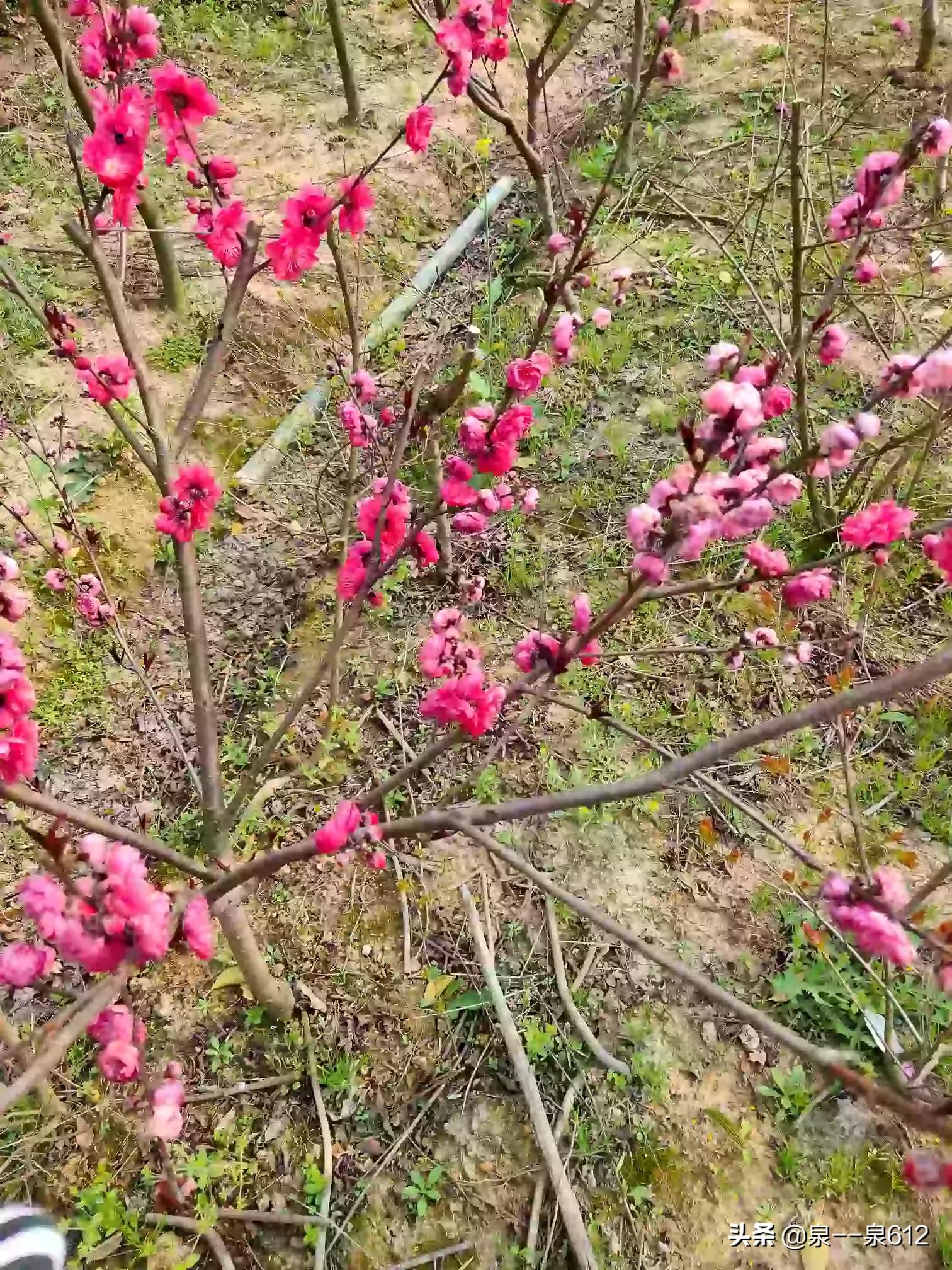 工厂办公区域装修效果图-戊类厂房可以设置办公区吗？