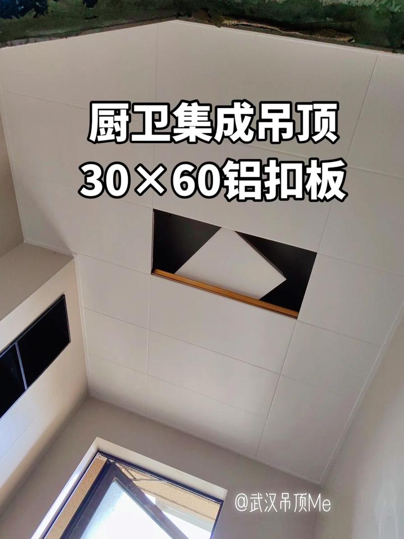 家庭室内设计吊顶效果图大全-做集成吊顶效果图用什么软件？