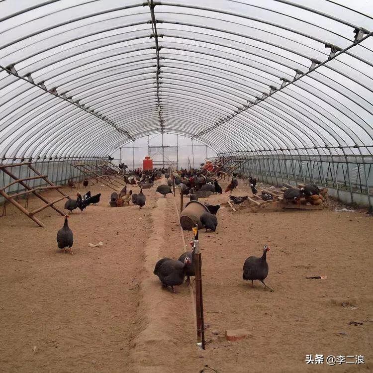 装修吊顶用什么材料最便宜-农村瓦房吊顶装修用什么材料比较好？