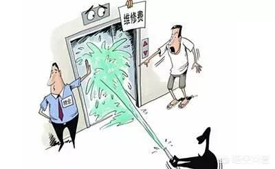 不用装修公司-为什么装修公司不用立邦油漆？