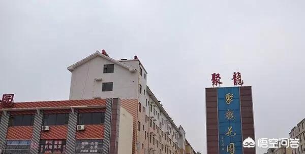 不用装修公司-为什么装修公司不用立邦油漆？