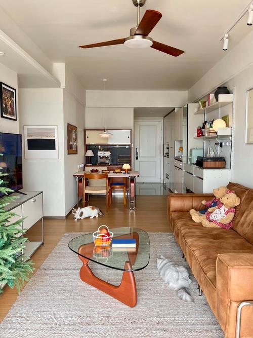 房子只设计不装修可以吗-装修设计效果图难道不是整套吗，为什么只有客厅和餐厅？