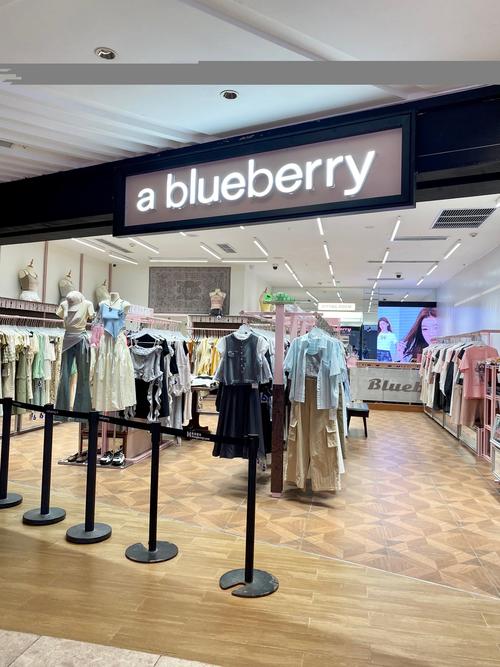 一个服装店英文-服装店用英文简写怎么写？